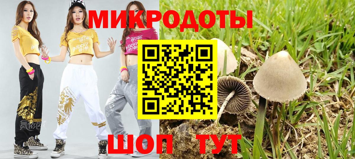 Советск  Псилоцибиновые грибы прущие грибы  Вход с VPN 