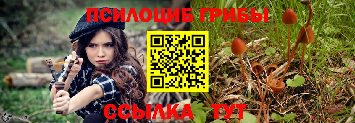 Псилоцибиновые грибы прущие грибы Советск